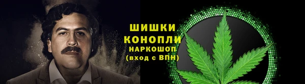 jwh Богородск