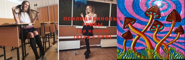 jwh Богородск