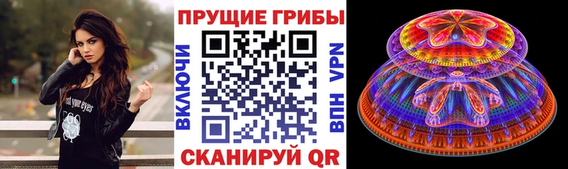 Галлюциногенные грибы Psilocybe  Мончегорск 
